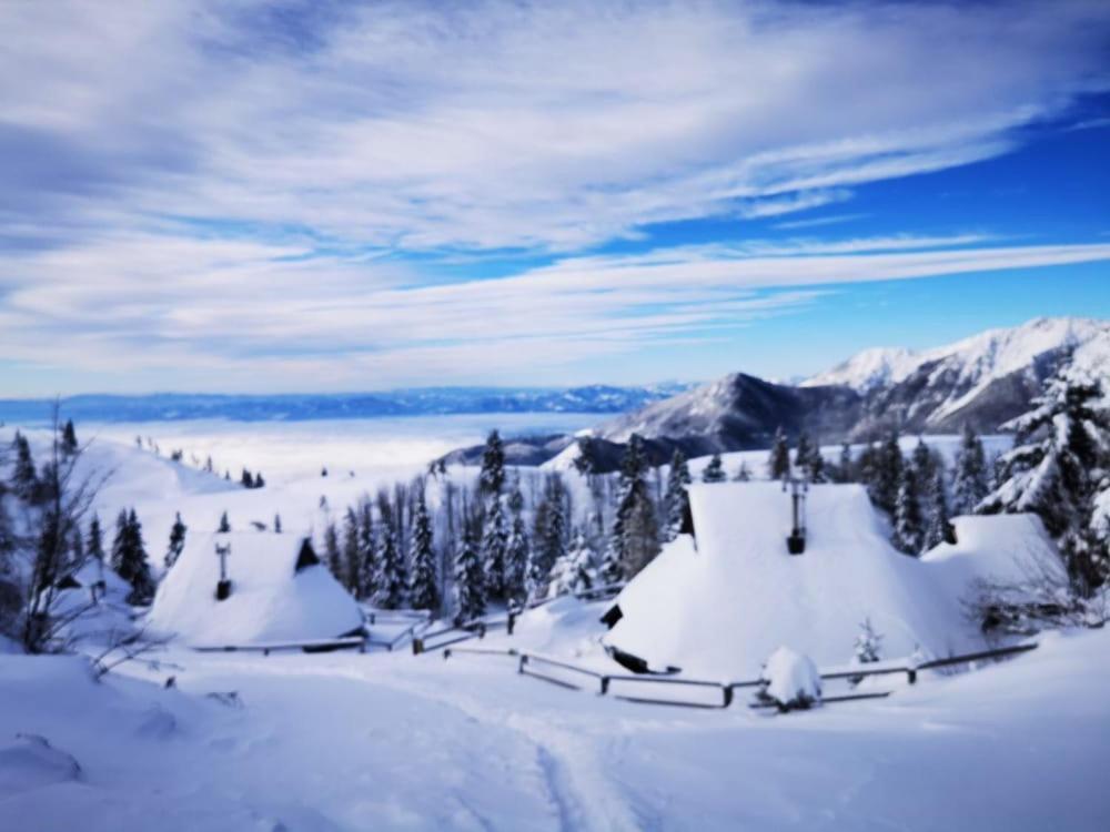 Chalet Zlatica Velika Planina Stahovica 외부 사진