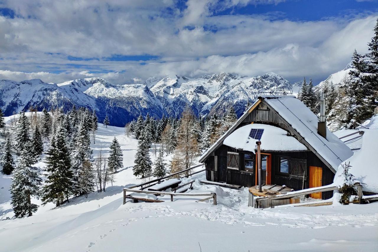 Chalet Zlatica Velika Planina Stahovica 외부 사진
