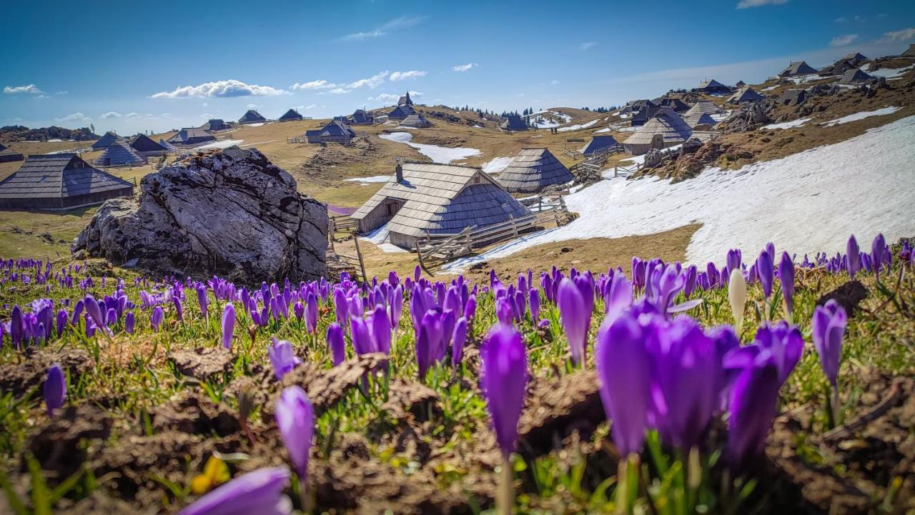 Chalet Zlatica Velika Planina Stahovica 외부 사진