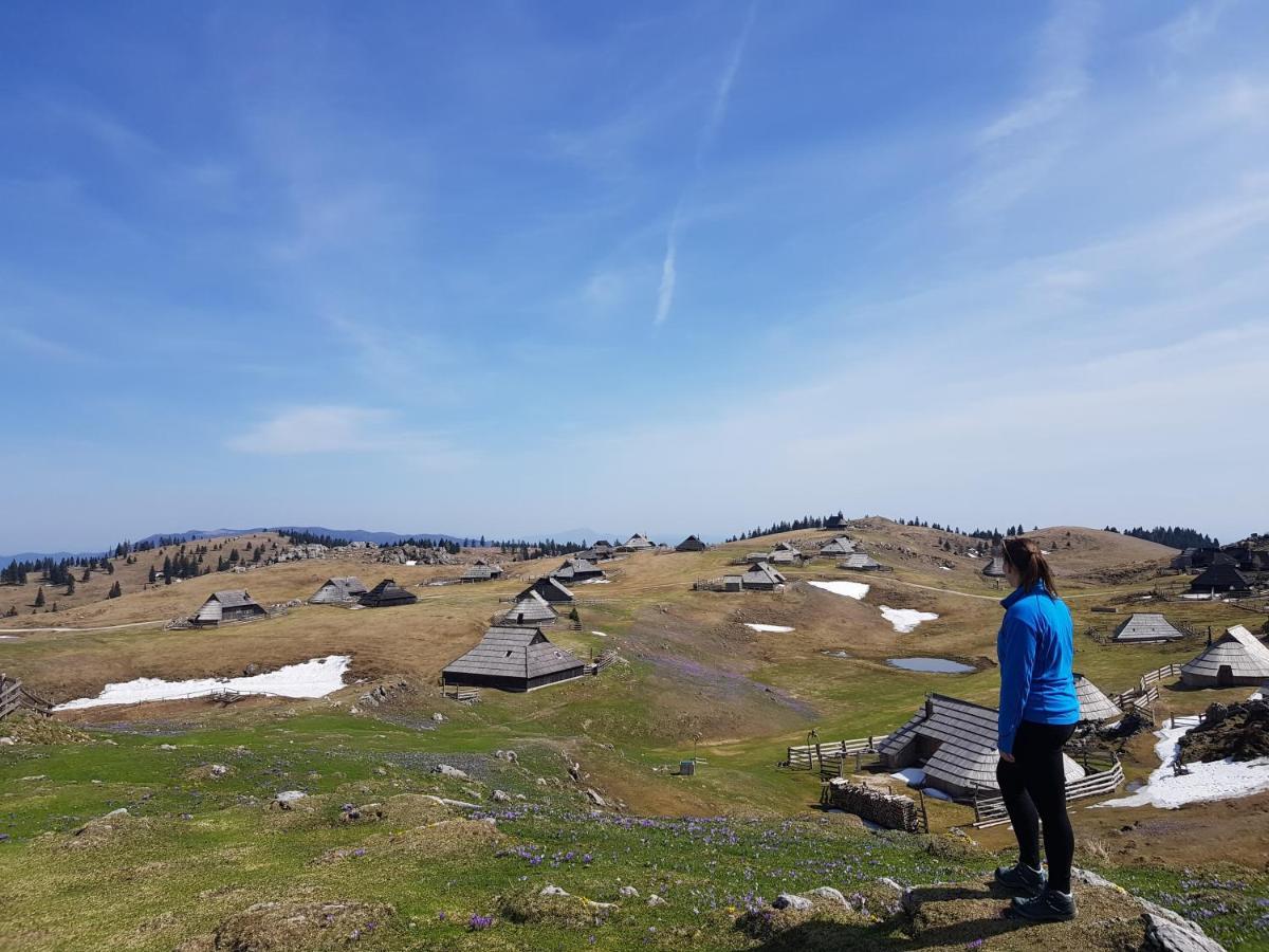 Chalet Zlatica Velika Planina Stahovica 외부 사진