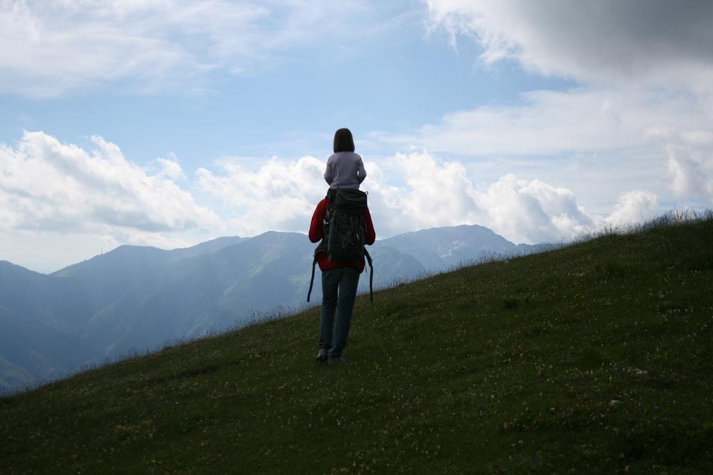 Chalet Zlatica Velika Planina Stahovica 외부 사진