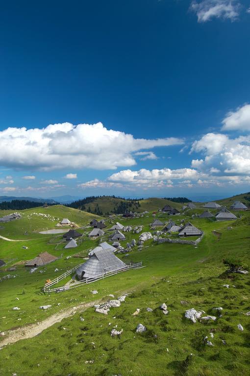 Chalet Zlatica Velika Planina Stahovica 외부 사진