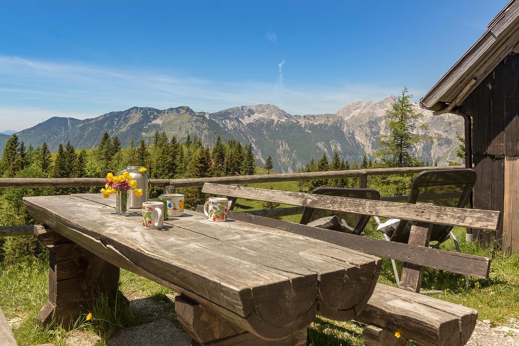 Chalet Zlatica Velika Planina Stahovica 외부 사진
