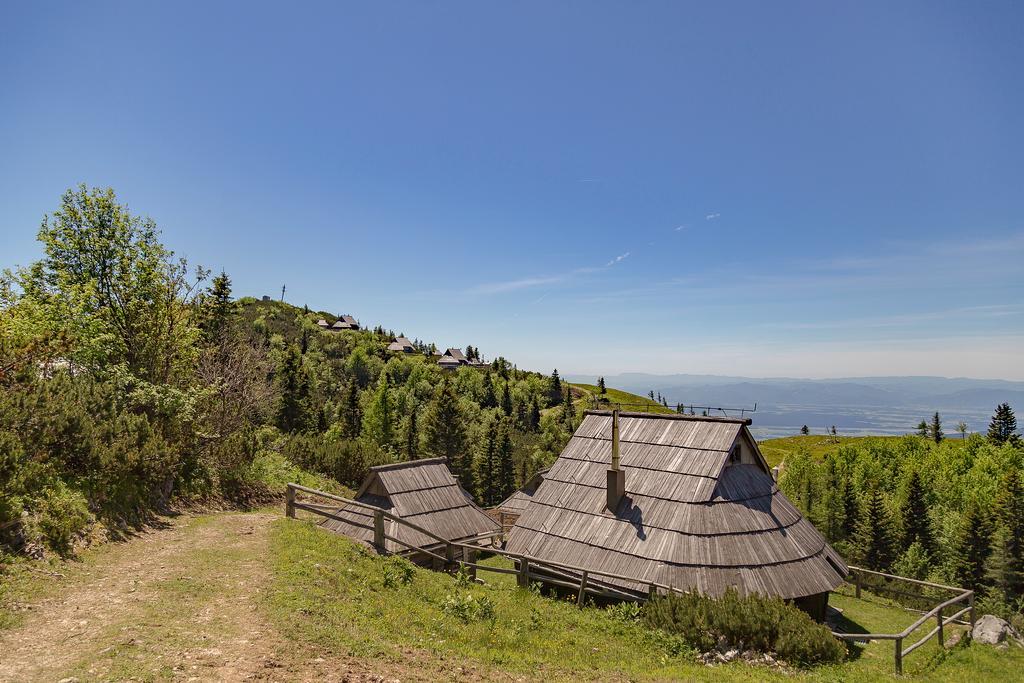 Chalet Zlatica Velika Planina Stahovica 외부 사진