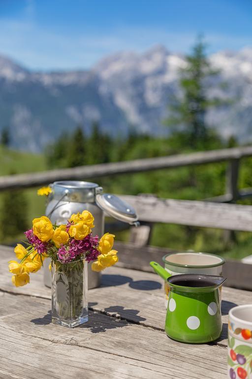 Chalet Zlatica Velika Planina Stahovica 외부 사진